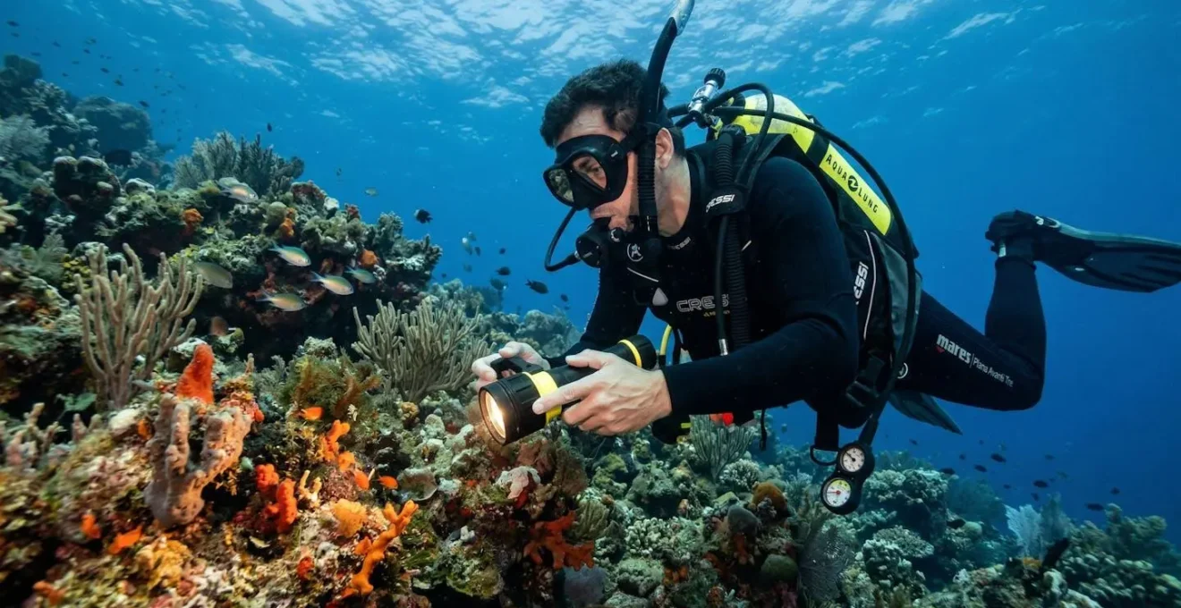 Plongeur explorant un récif méditerranéen avec lampe de plongée allumée