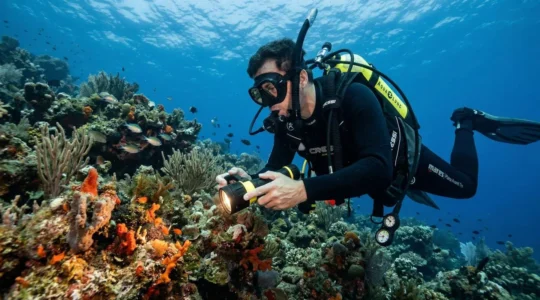Plongeur explorant un récif méditerranéen avec lampe de plongée allumée